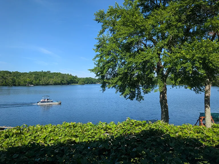 Carrier Ln — Photo 45