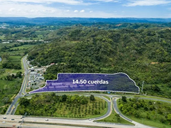 Finca, Dorado, PR 00646