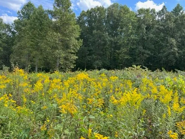 5333AC Stacy Cemetery Rd, Gainesboro, TN 38562