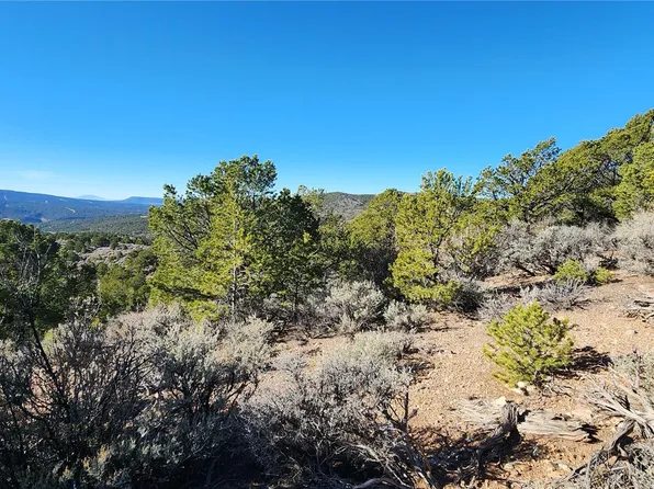 7468 Spring Road, Fort Garland, CO 81133