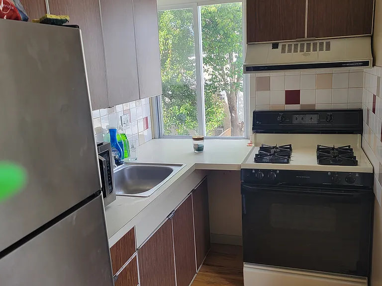 1207 Carpenter St #B — Photo 7