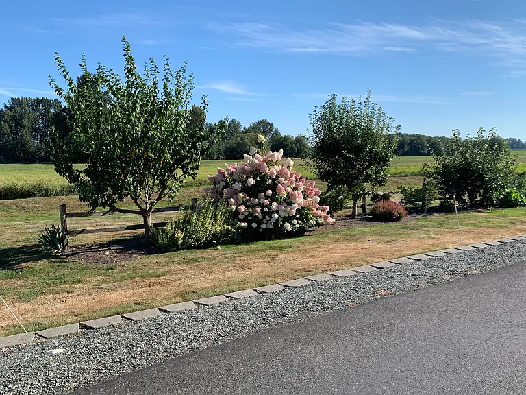 Community Garden