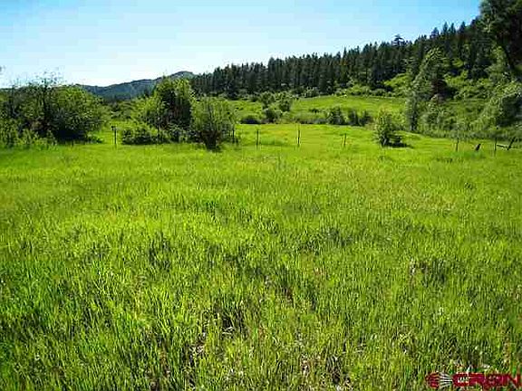 3rd image of 228 Bear Creek Cir