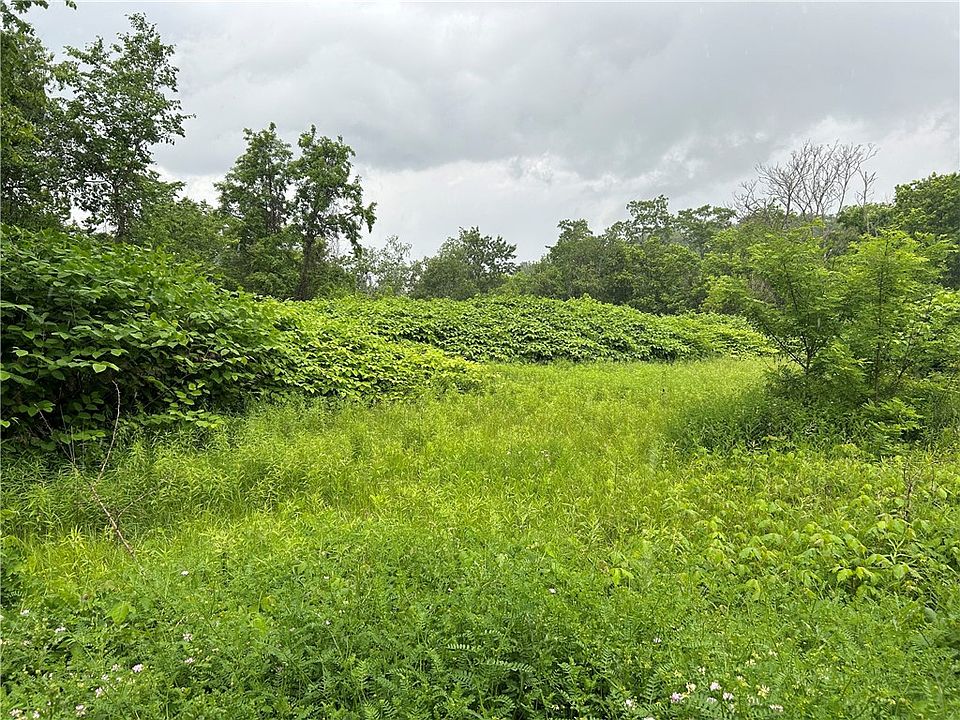2nd image of 0 Thorn Run Rd