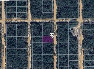 LOT 22 Louise Ave LOT 34, Interlachen, FL 32148