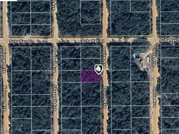 LOT 22 Louise Ave Lot 34, Interlachen, FL 32148