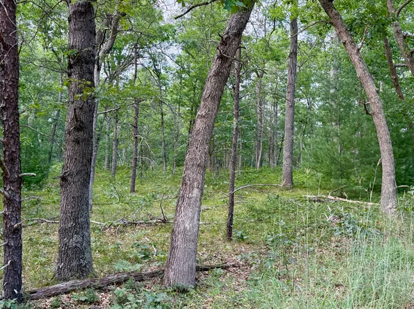 2A Steinberg Rd, Manistee, MI 49660