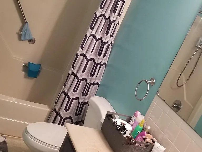 49 Honeysuckle Dr — Photo 8