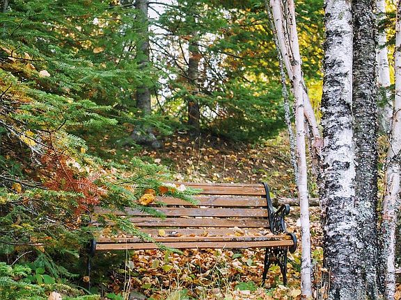 bench on hill to lake