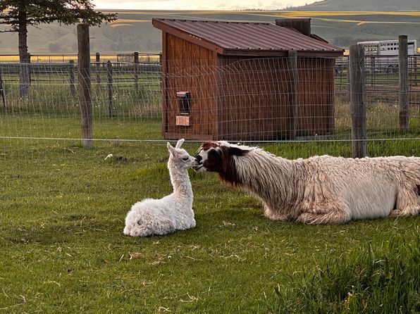 18100 Yankee Creek Rd