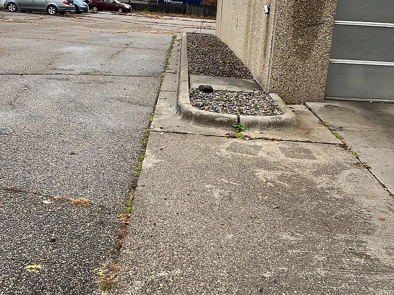 705 8th St #3AUTO — Photo 9