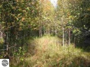 Schomberg Rd, Cedar, MI 49621