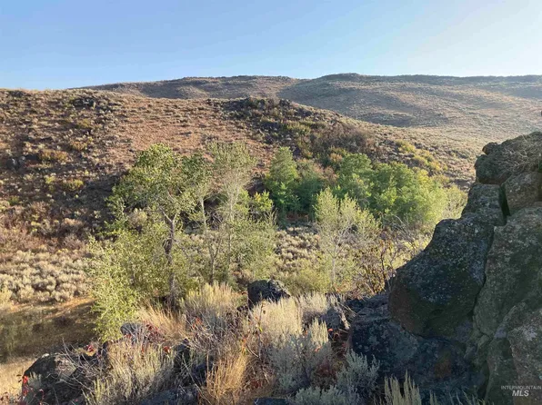 Poison Creek Rd, Bellevue, ID 83313