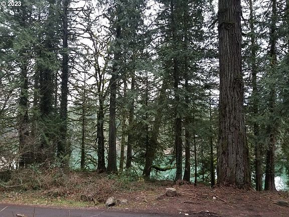 4th image of 21970 S River Lake Rd