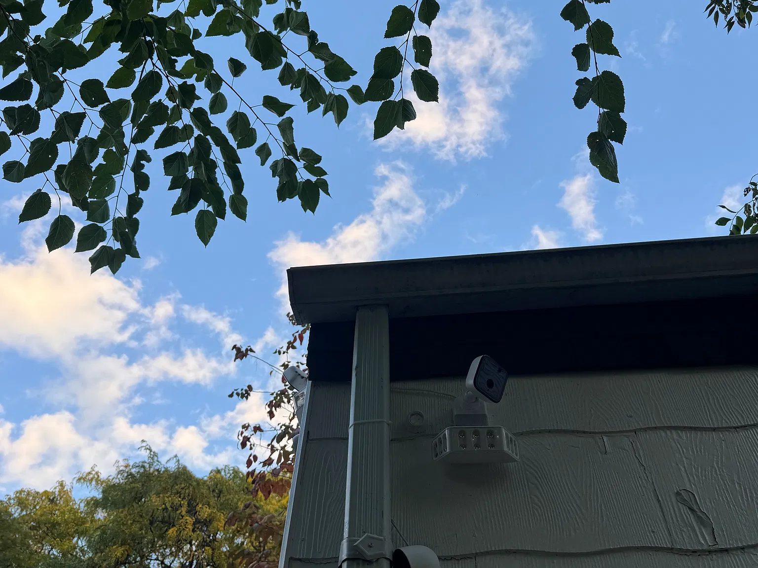 2 bed, 707 sqft, $950 — Photo 1