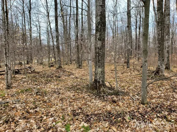 N Ash Rd, Manistique, MI 49854