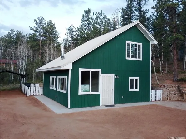 10 Bartimous Road, Bailey, CO 80421