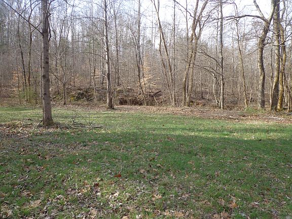 2nd image of 0 Ennis Branch Rd