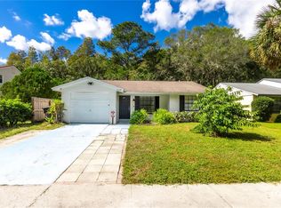 16128 Manorwood Cir, Tampa, FL 33624