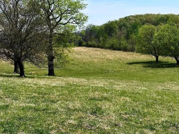 0 Marble Hill Rd, Poplar Bluff, MO 63901