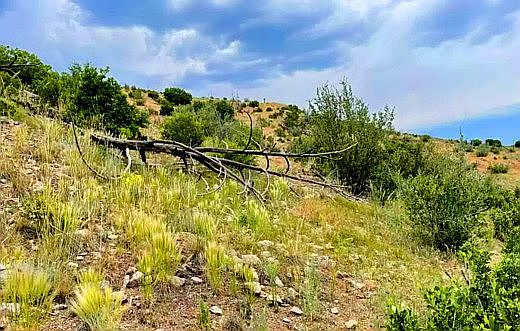 3rd image of 1 Gulch Rd