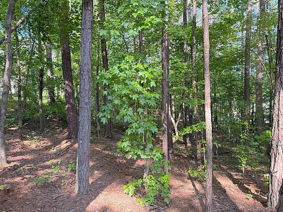 4th image of 1306 Southgate Dr #682