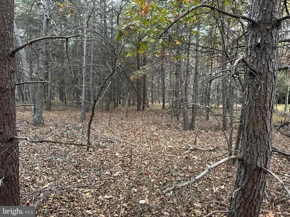 58 Medford Ln, Berkeley Springs, WV 25411