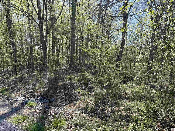 2nd image of LOT 11 Maplewood Cir