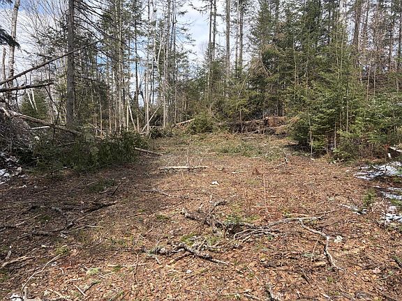 2nd image of 339 Long Pond Road