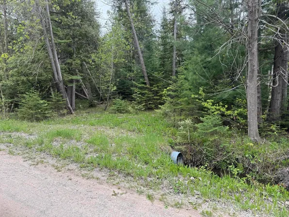 M M W 68th, Alanson, MI 49706