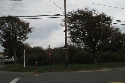 5th image of 84 S Euclid Ave