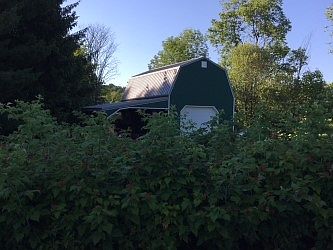 16x24 Barn with lean-to