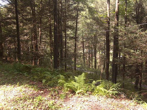4th image of 0 Nelson Run Rd