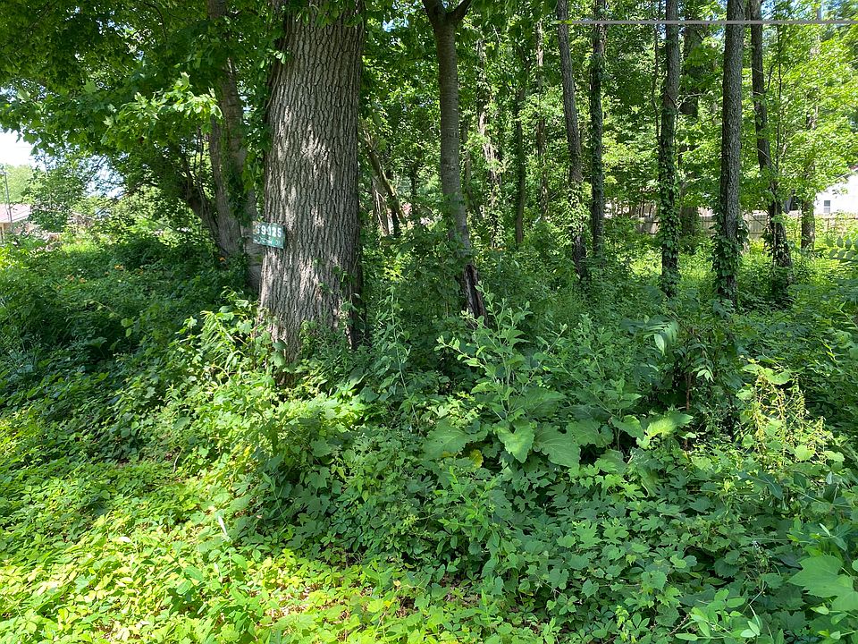 2nd image of 69025 Island Dr