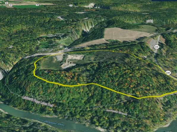 Portageville Rd Lot Wp001, Hunt, NY 14846