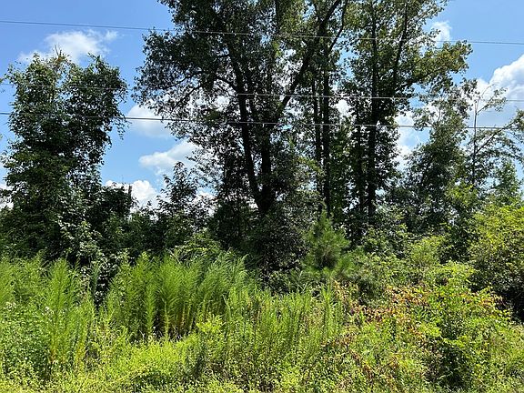5th image of 14.4 Ac Houston Street Maple Dr