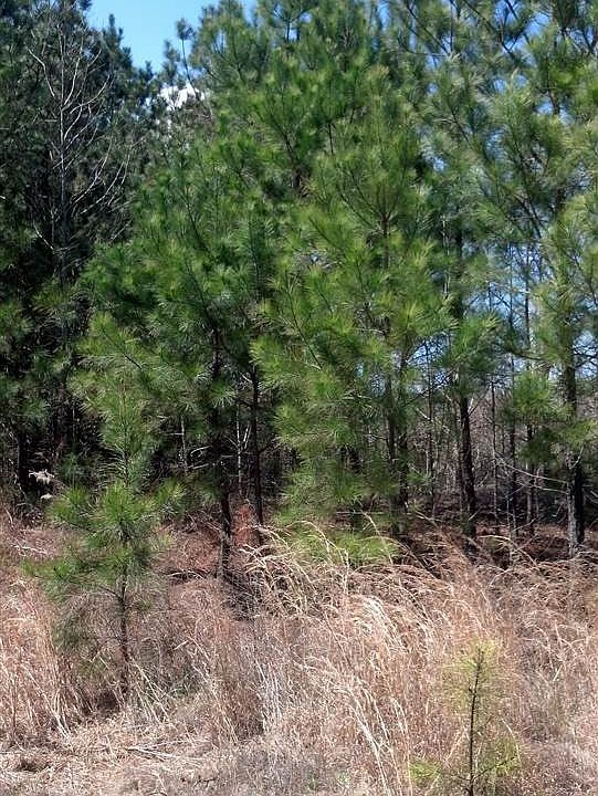 1st image of 750 S Judd Pkwy SW Lot 1