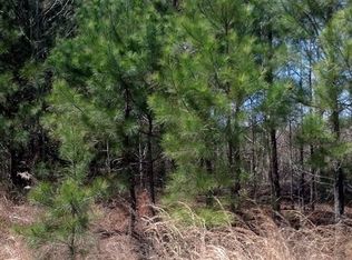 750 S Judd Pkwy SW LOT 1, Fuquay Varina, NC 27526