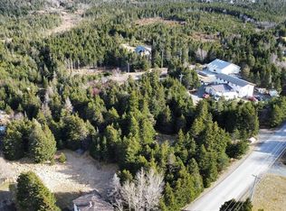 149 Springfield Road, South River, NL A0A3W0