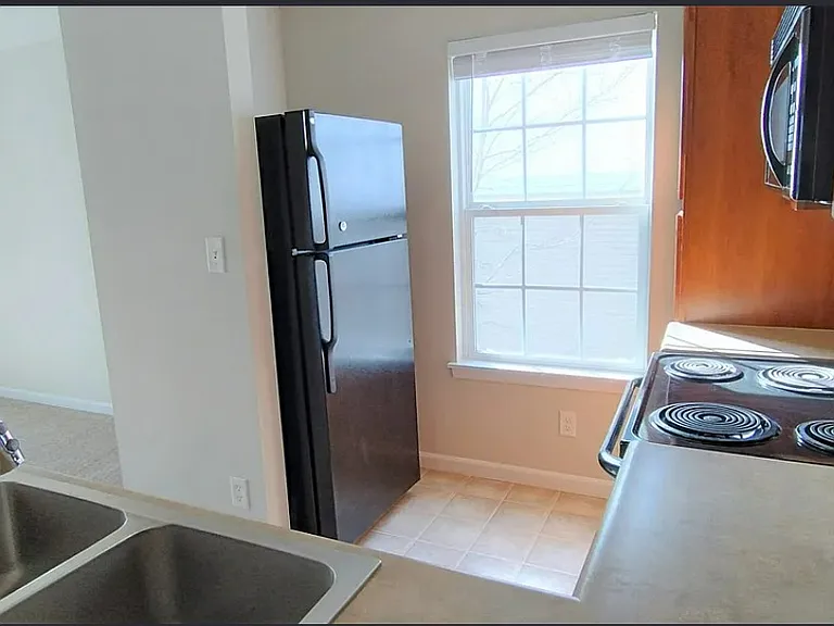 3202 Spring Creek Ln — Photo 11