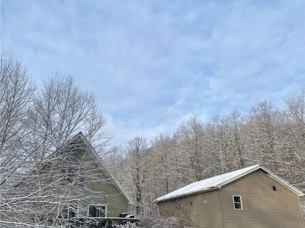 82 Shelter Valley Rd, Newfield, NY 14867