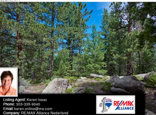 2844 Ridge Rd, Nederland, CO 80466