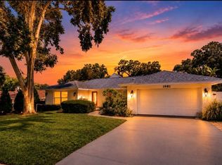 1981 CASTILLE DRIVE, DUNEDIN, FL 34698