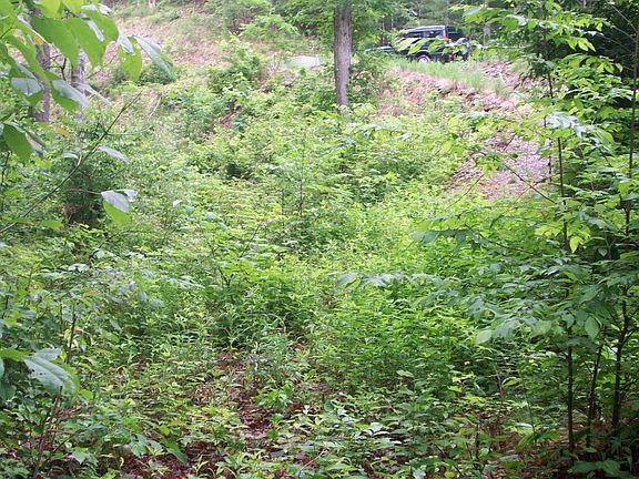 4th image of 437 Chetola Trl Lot 105