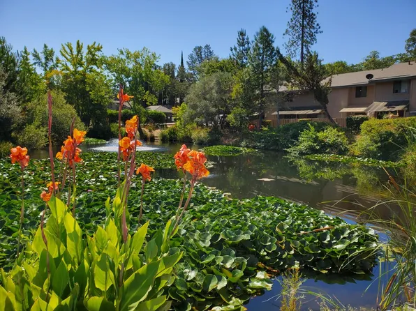 13063 Lincoln Way APT E, Auburn, CA 95603