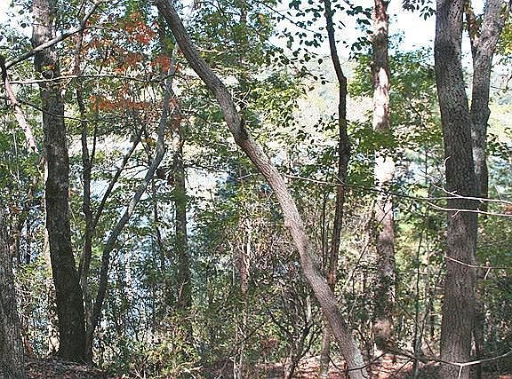 2nd image of 0 Highway 52