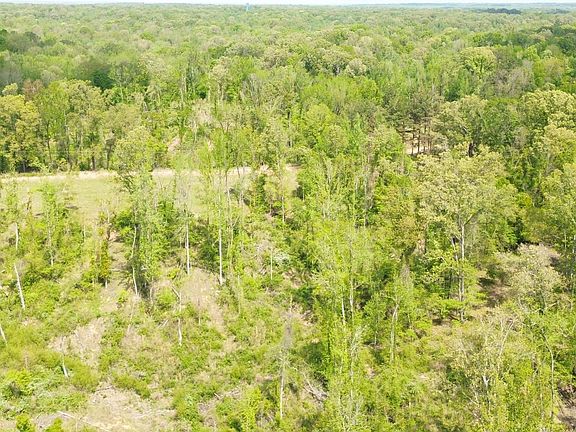 3rd image of Stevens Rd