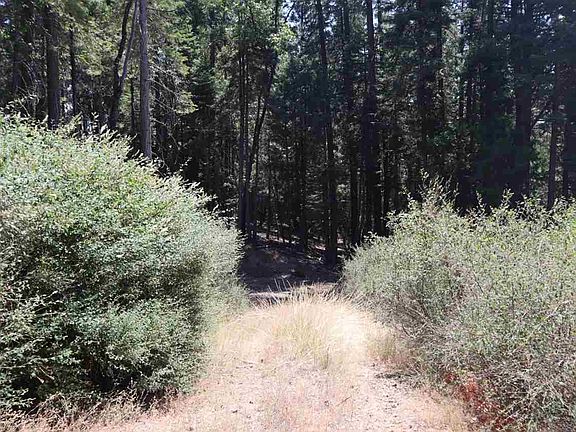 5th image of 2561 Forest Knoll Ln