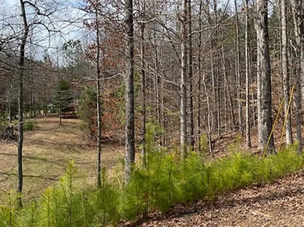 0 Alexander Cir #17, Cumming, GA 30041