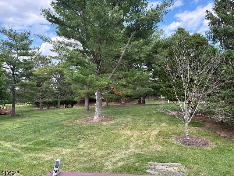 131 Locust Ct — Photo 13